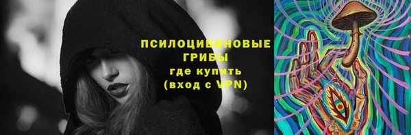 spice Алексин