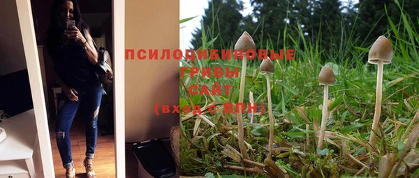 PSILOCYBIN Алексеевка