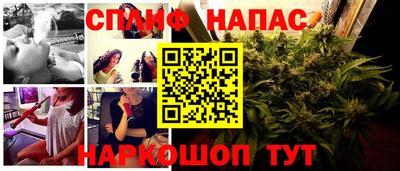PSILOCYBIN Баксан