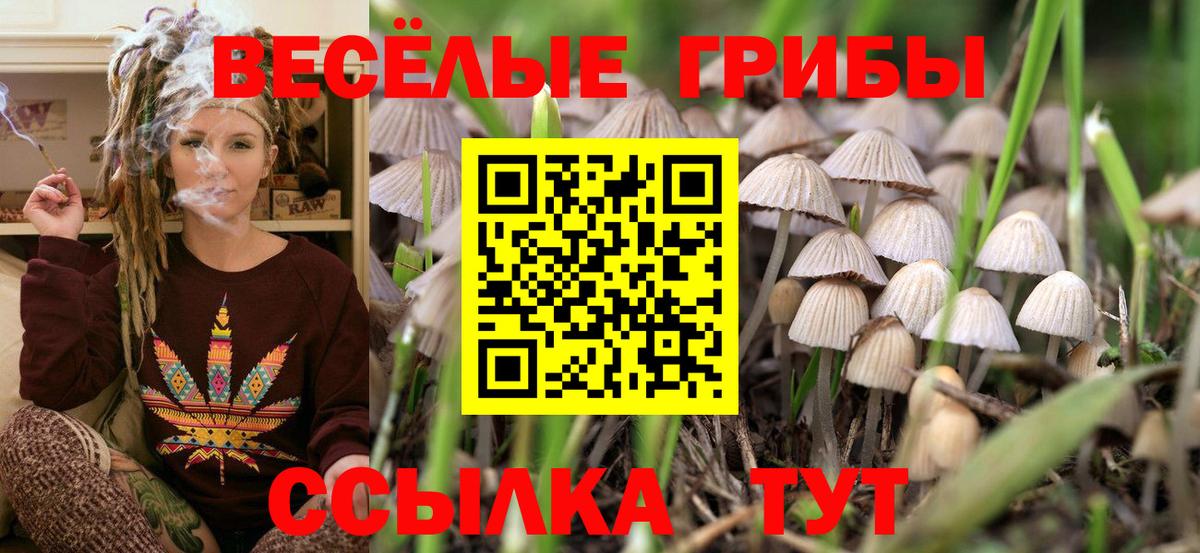 Псилоцибиновые грибы Magic Shrooms  Галлюциногенные грибы MAGIC MUSHROOMS  Вход с VPN  Салават 