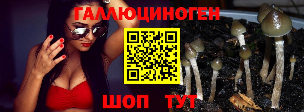 Псилоцибиновые грибы MAGIC MUSHROOMS Салават